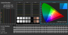 CalMan ColorChecker calibré