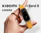 Le Xiaomi Band 8 sera lancé en Chine la semaine prochaine. (Source : Xiaomi)