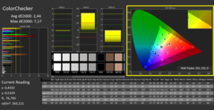 CalMAN - Color Checker (calibré)