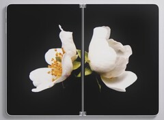 Le Surface Neo ne sera pas sous le sapin de Noël de qui que ce soit pendant les fêtes de fin d'année. (Image : Microsoft)