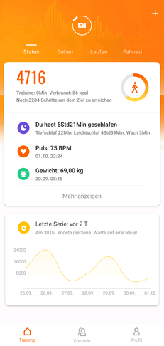 Amazfit Verge Lite : vue générale.