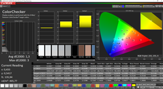 CalMAN ColorChecker (espace couleur cible P3)