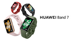 Le Huawei Band 7 sera disponible en quatre couleurs, toutes avec un boîtier plus fin et plus léger que le Band 6. (Image source : Huawei)