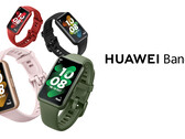 Le Huawei Band 7 sera disponible en quatre couleurs, toutes avec un boîtier plus fin et plus léger que le Band 6. (Image source : Huawei)