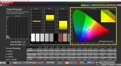 CalMAN ColorChecker (Profil : P3, Espace couleur cible : P3)