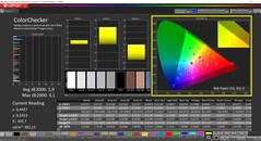 CalMAN ColorChecker (profil : natif, espace colorimétrique cible : P3)