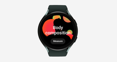 Les revendications de Samsung en matière de BIA sont mises à l'épreuve. (Source : Samsung)