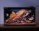 Le Fish Tank 1 Ultra. (Source de l'image : Dangbei)