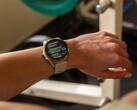 La Fenix 8 est l'une des nombreuses smartwatches en attente d'une mise à jour stable v17.xx. (Source de l'image : Garmin)