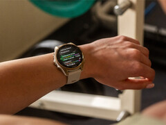 La Fenix 8 est l&#039;une des nombreuses smartwatches en attente d&#039;une mise à jour stable v17.xx. (Source de l&#039;image : Garmin)