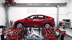 La production de Robotaxi à bas prix s&#039;étend à la Model Y (image : Tesla)