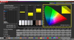 CalMAN ColorChecker (profil : default, espace colorimétrique cible : P3)