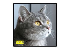 Rendu conceptuel de l&#039;affichage interne 1:1 ou 18:18 du Wide Fold. (Source de l&#039;image : Ice Universe)