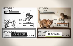 Après 30 ans, la vérité est enfin révélée : Pidgey est un chat déguisé en pigeon.