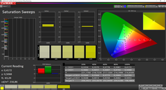 Saturation (Intel ; calibré)