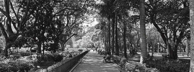 Mode XPan monochrome