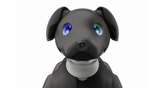 Le nouvel aibo Espresso Edition. (Source : Sony)