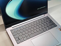 Asus ExpertBook PM3 (source de l'image : Notebookcheck)