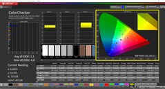 CalMAN ColorChecker calibré (espace colorimétrique cible : P3)