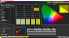 La saturation (AMD)