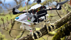 Le robot oiseau SNAG utilise le biomimétisme pour se percher (image : Stanford)