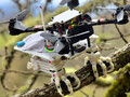 Le premier drone SNAG, qui peut se percher sur les arbres comme un oiseau, a des pattes de faucon imprimées en 3D
