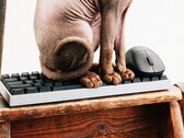 Wallhack fait son entrée sur le marché des claviers et souris de jeu.