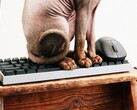 Wallhack fait son entrée sur le marché des claviers et souris de jeu.