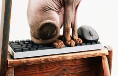 Wallhack fait son entrée sur le marché des claviers et souris de jeu.