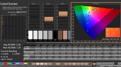 CalMAN : ColorChecker (calibré)