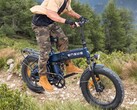 Engine Pro 3.0 Boost : Un vélo électrique pliable qui convient également à une utilisation tout-terrain. (Source de l'image : Engwe)