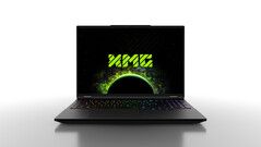 (Source de l'image : XMG)