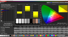 CalMAN ColorChecker calibré