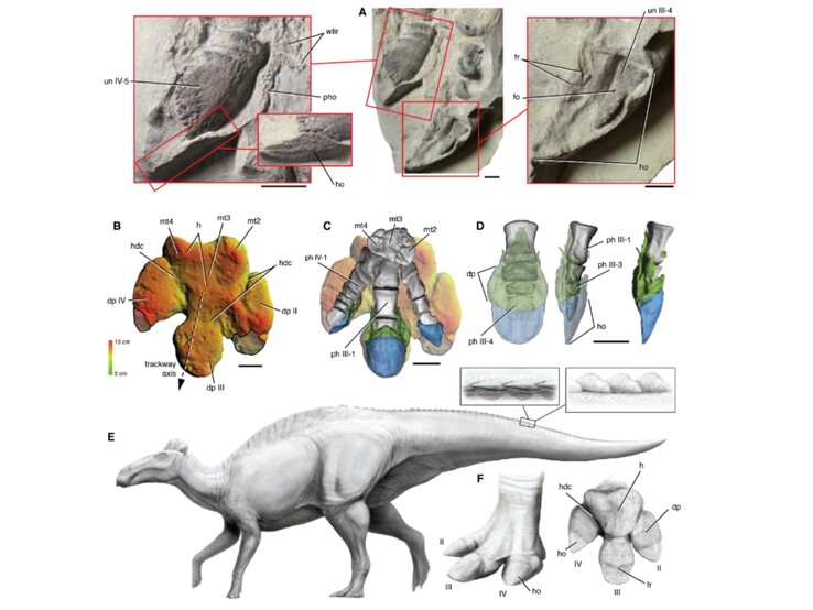 (Source de l'image : Science.org)