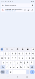 Clavier - portrait