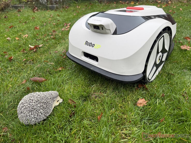 Le Raccoon 2 SE n'a pas toujours reconnu notre mannequin hérisson lors du test