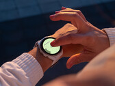 La Forerunner 965 n'a pas bénéficié d'une nouvelle mise à jour stable depuis la fin de l'année dernière. (Source de l'image : Garmin)