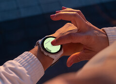 La Forerunner 965 n'a pas bénéficié d'une nouvelle mise à jour stable depuis la fin de l'année dernière. (Source de l'image : Garmin)