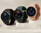 Garmin se concentre sur l'ajout de nouvelles fonctionnalités à la Vivoactive 6 après sa sortie en avril. (Source de l'image : Garmin)