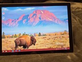 Le Microsoft Surface Pro 8 sera probablement doté d'un design extérieur inchangé (Source de l'image : Reddit)