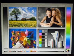 Angles de vision IPS étendus