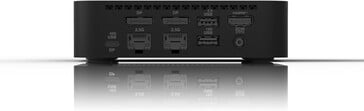 Deux ports Ethernet sont disponibles. (Source de l'image : Asus)