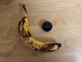 La Pixel Watch avec une banane pour l'échelle. (Image source : u/tagtech414)