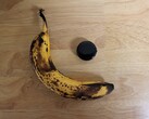 La Pixel Watch avec une banane pour l'échelle. (Image source : u/tagtech414)