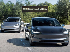 Le FSD 14 Lite est désormais disponible sur les Model Y et Model 3 de la série HW3.