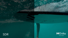 Certains fans de Vimeo peuvent maintenant avoir accès à cette mise à jour. (Source : Vimeo)