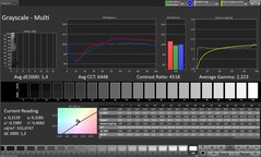 Niveaux de gris (profil : Professionnel, espace couleur cible : sRGB)