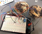 Deux cellules de mémoire en forme de champignon ont été fixées à une carte de développement à microcontrôleur Arduino UNO pour être testées. (Source de l'image : LaRocco, J. et al. via PLOS One)