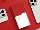 Oppo a sorti une édition limitée de son power bank de 100W (photo). (Source : Oppo)