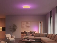 Le plafonnier Philips Hue Datura est doté de deux sources lumineuses. (Source de l&#039;image : Philips Hue)